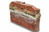 Tall Arizona Petrified Wood Bookends - Rainbow Colors! #258343-2